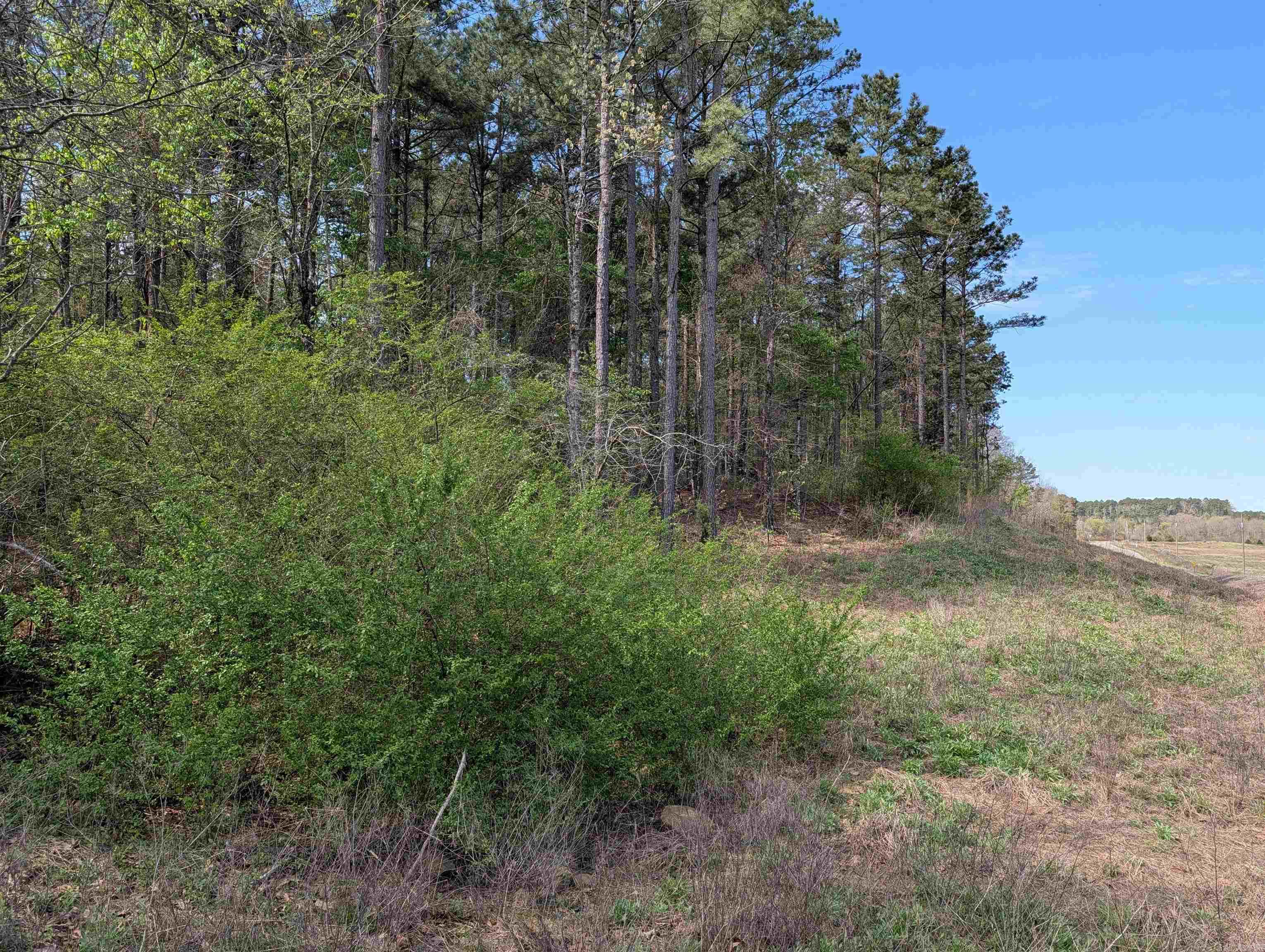 Union Valley Road Property Photo 6