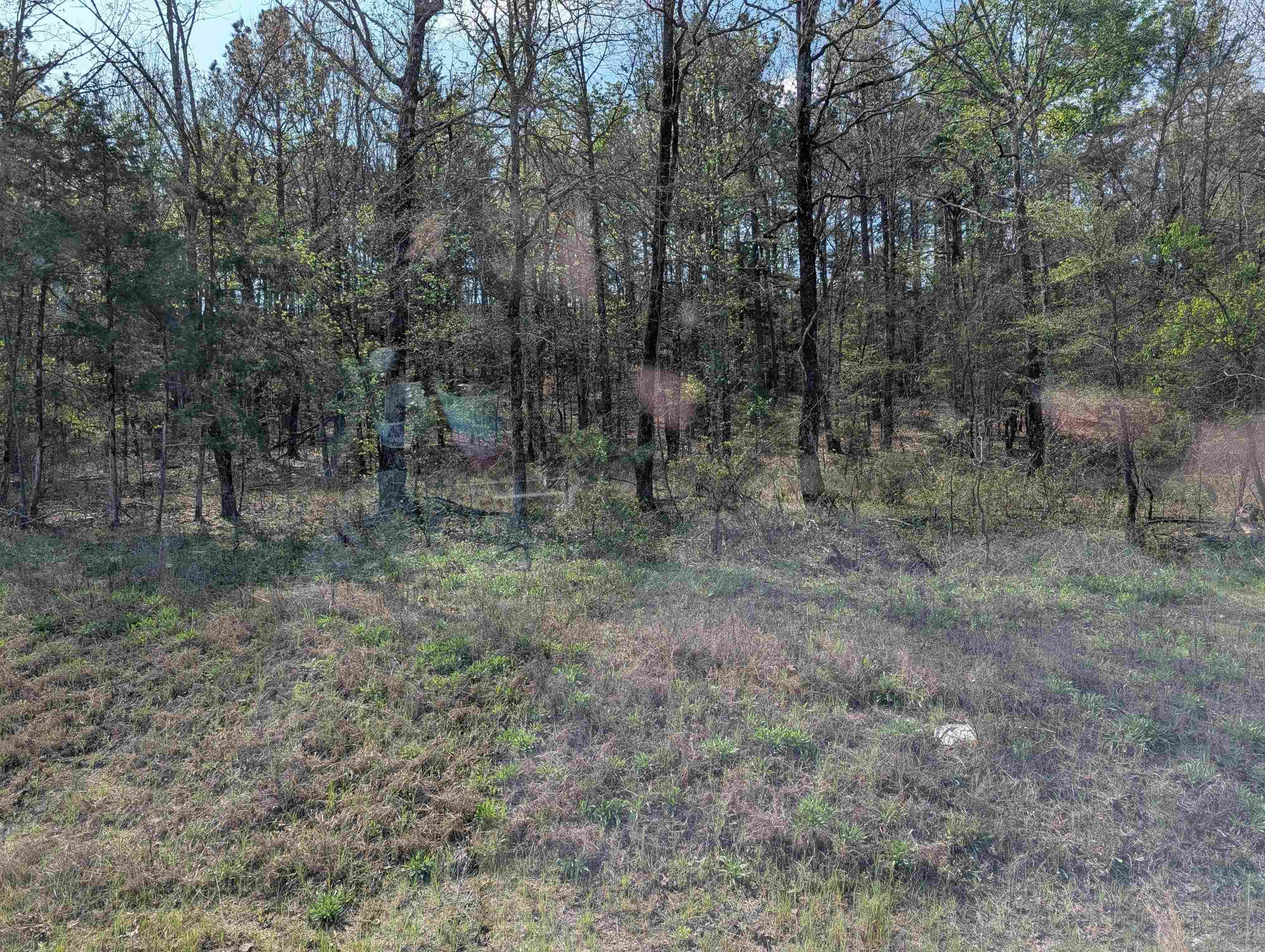 Union Valley Road Property Photo 7