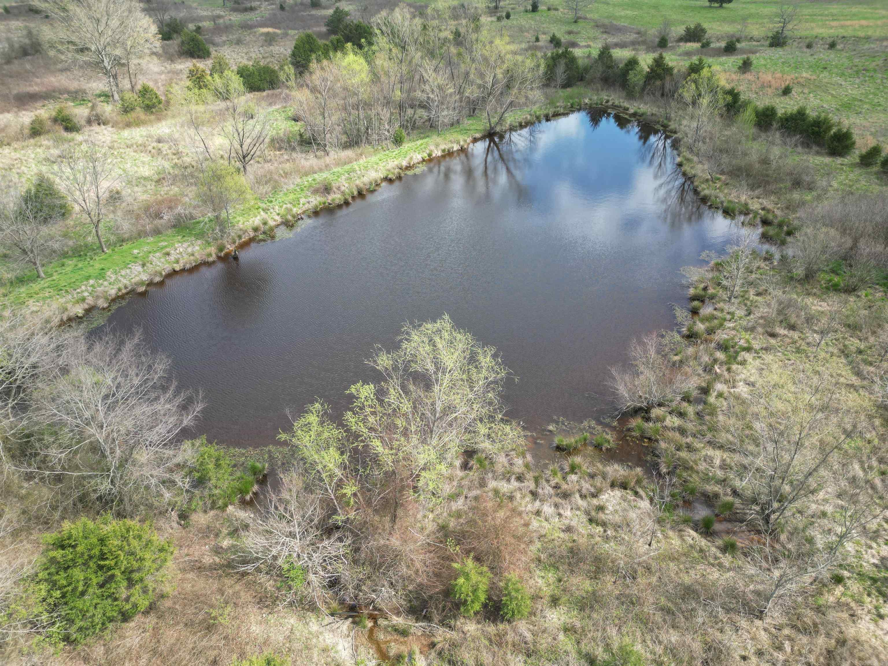 26010928 Property Photo 3