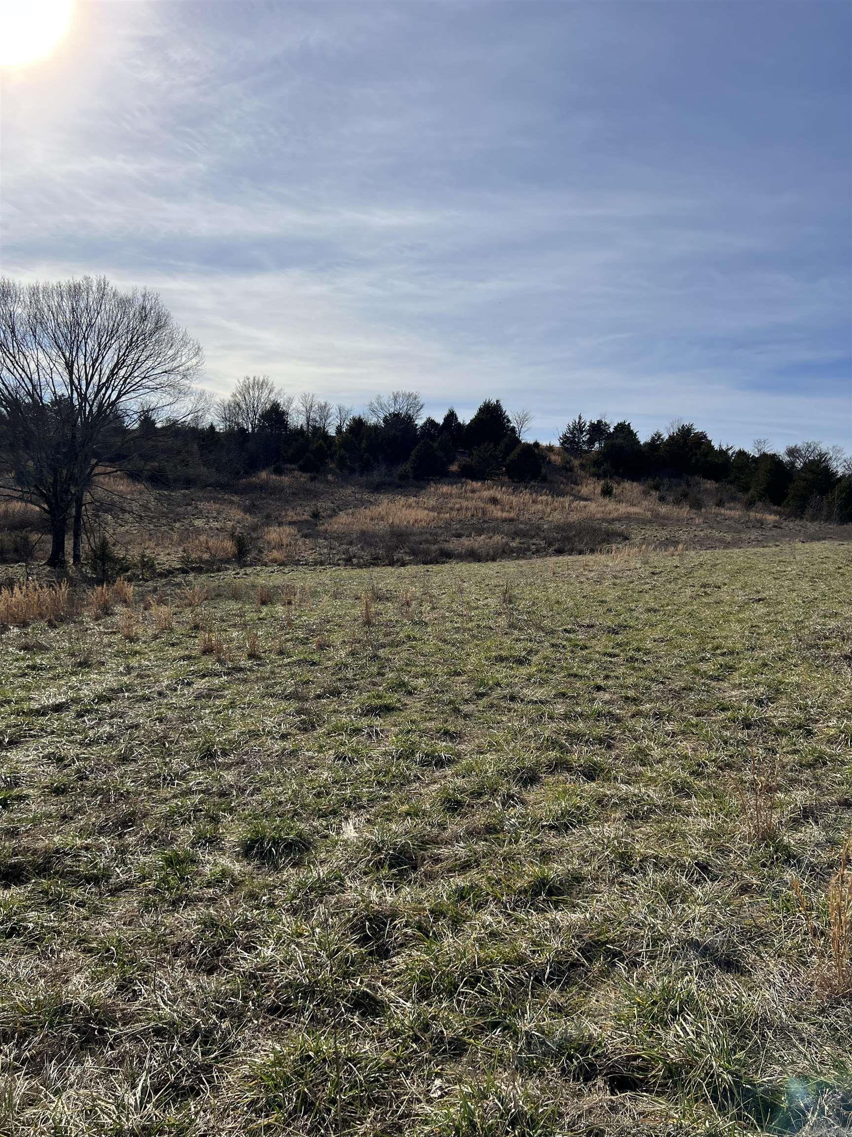 26010928 Property Photo 21