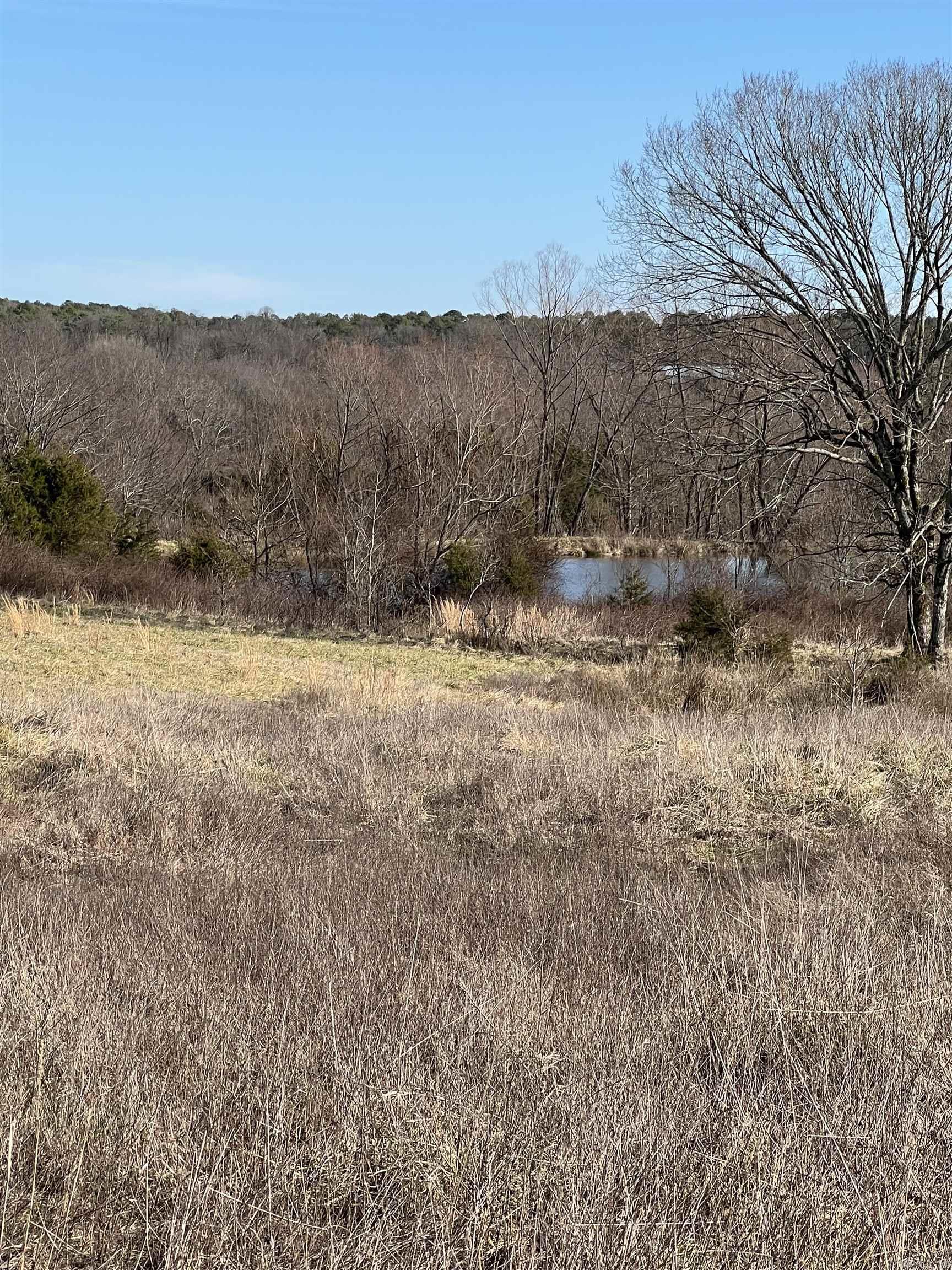 26010928 Property Photo 22
