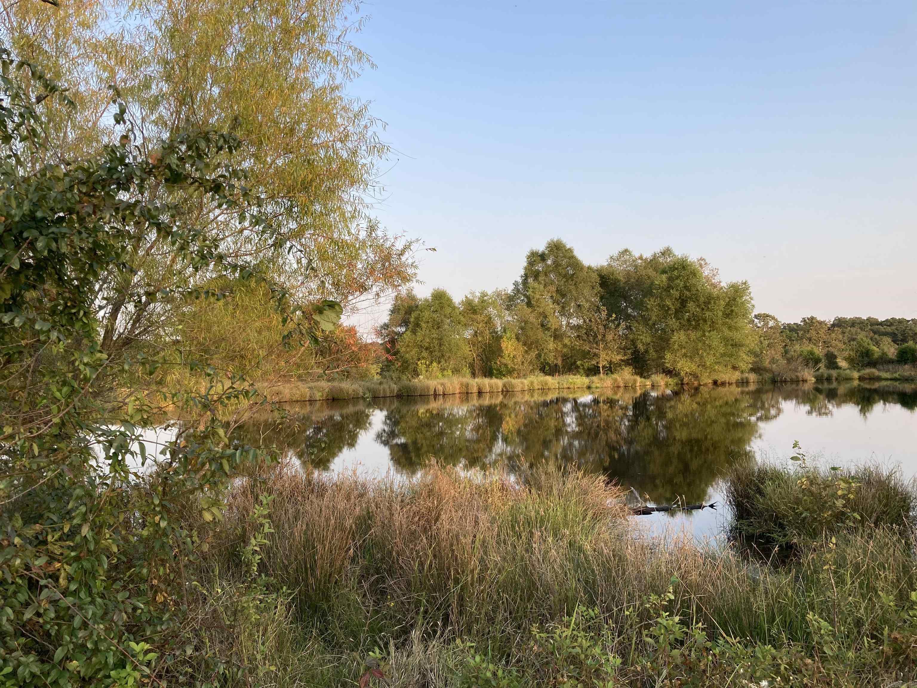 26010928 Property Photo 26