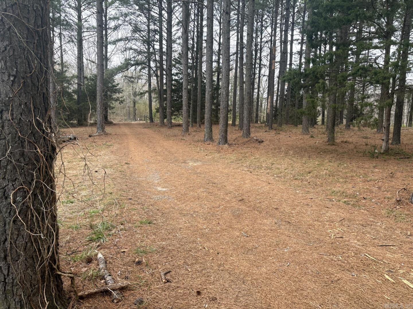 6965 Ar Hwy 13 N Property Photo 3