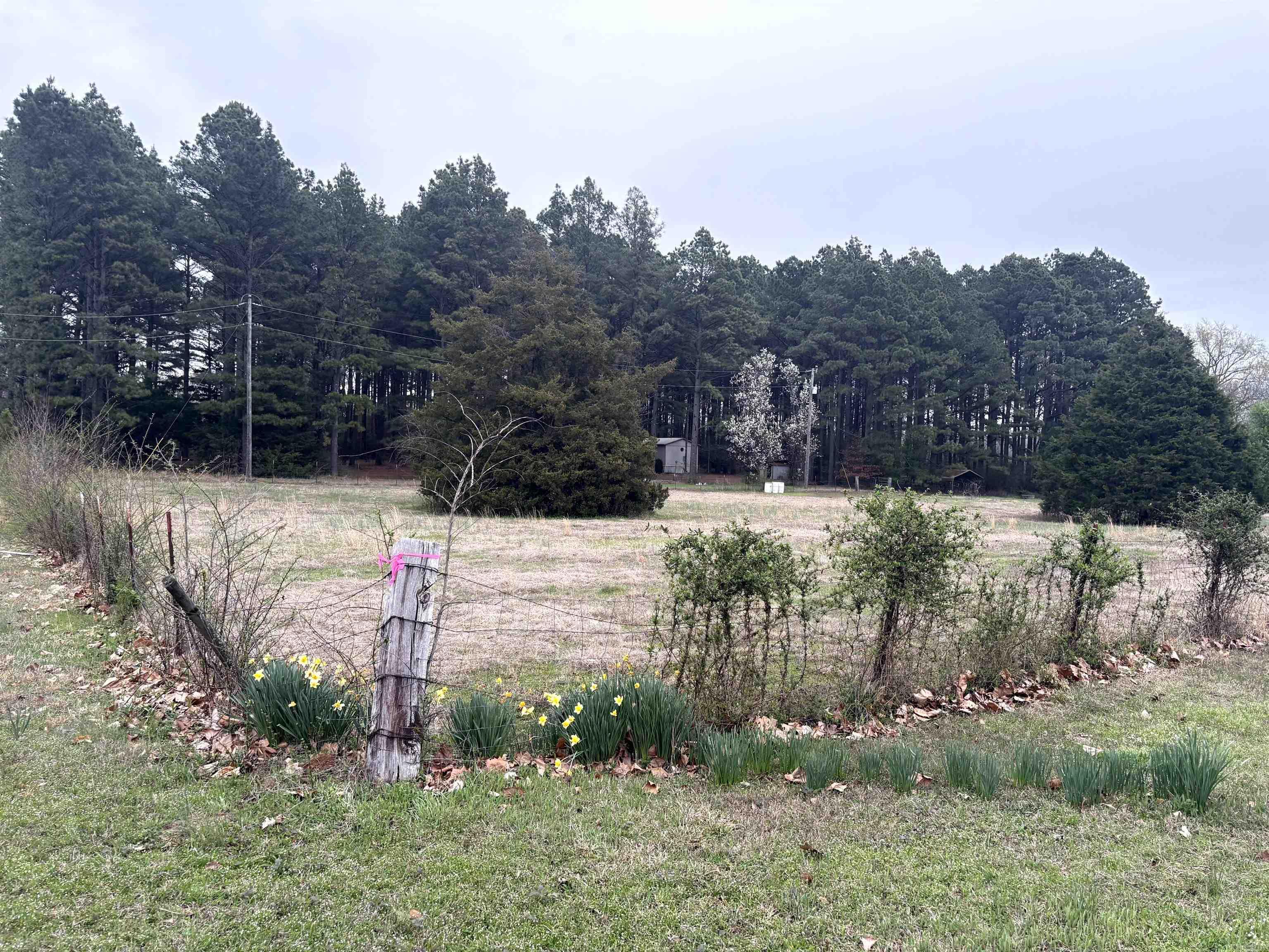 6965 Ar Hwy 13 N Property Photo 11