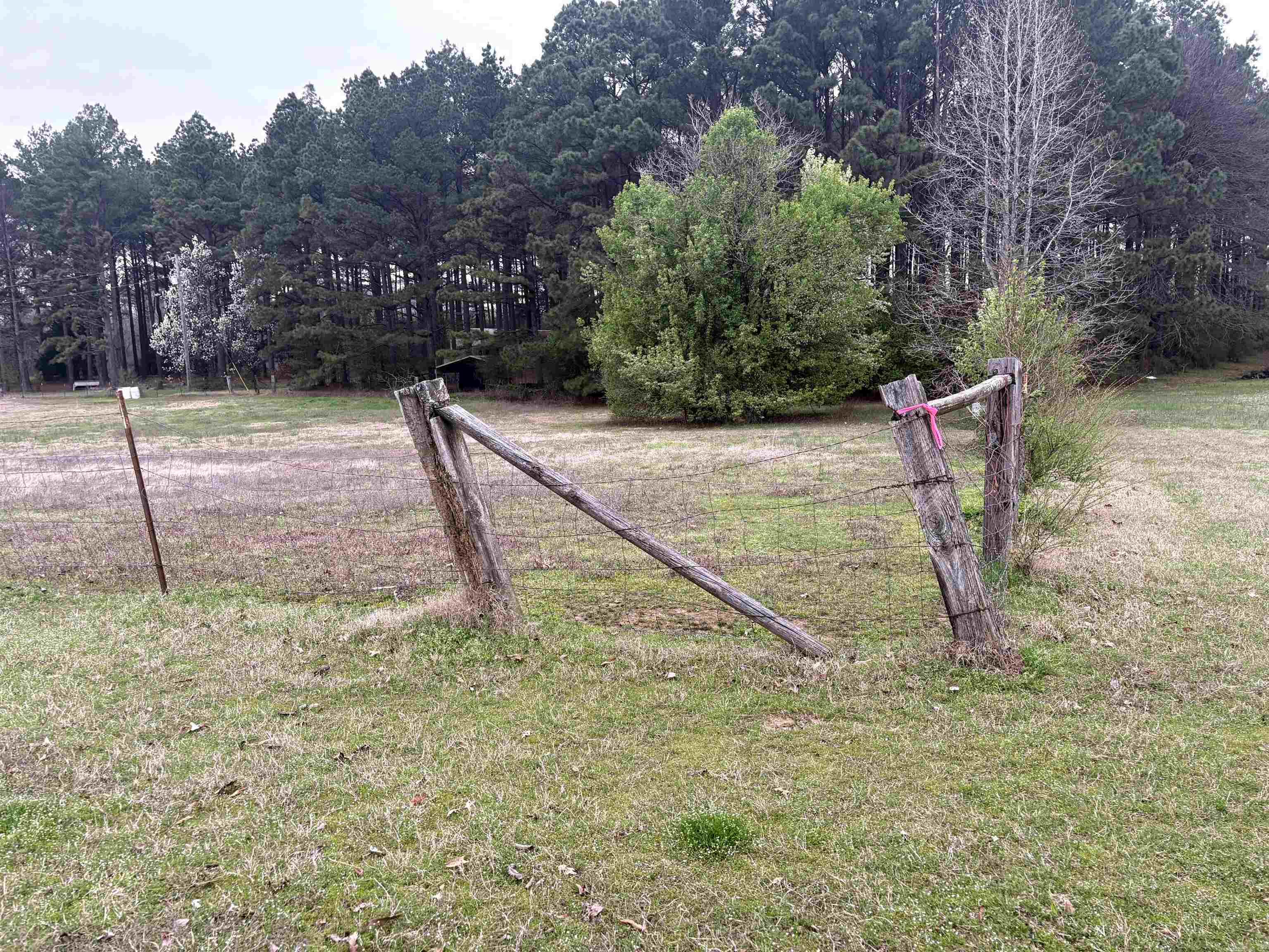 6965 Ar Hwy 13 N Property Photo 13