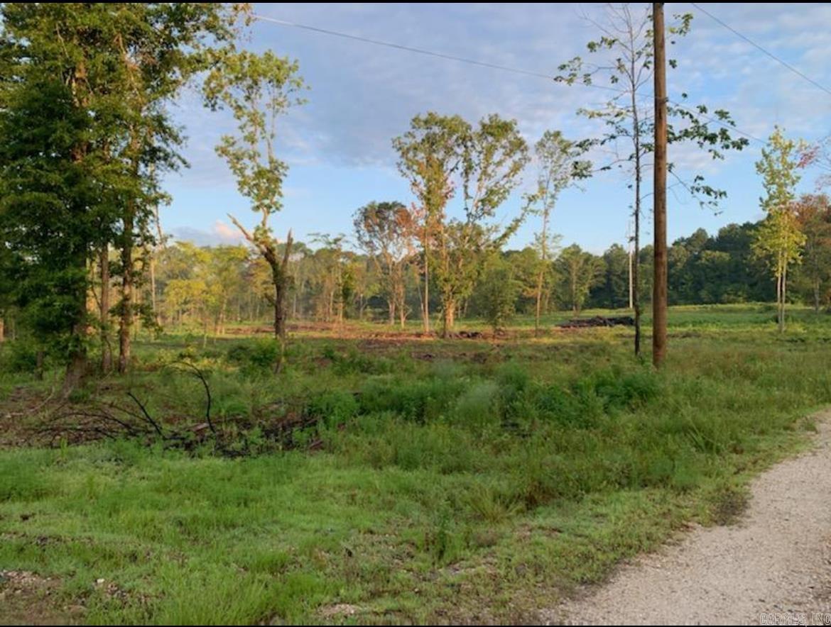 Tract 1 Coop Trail Property Photo 1