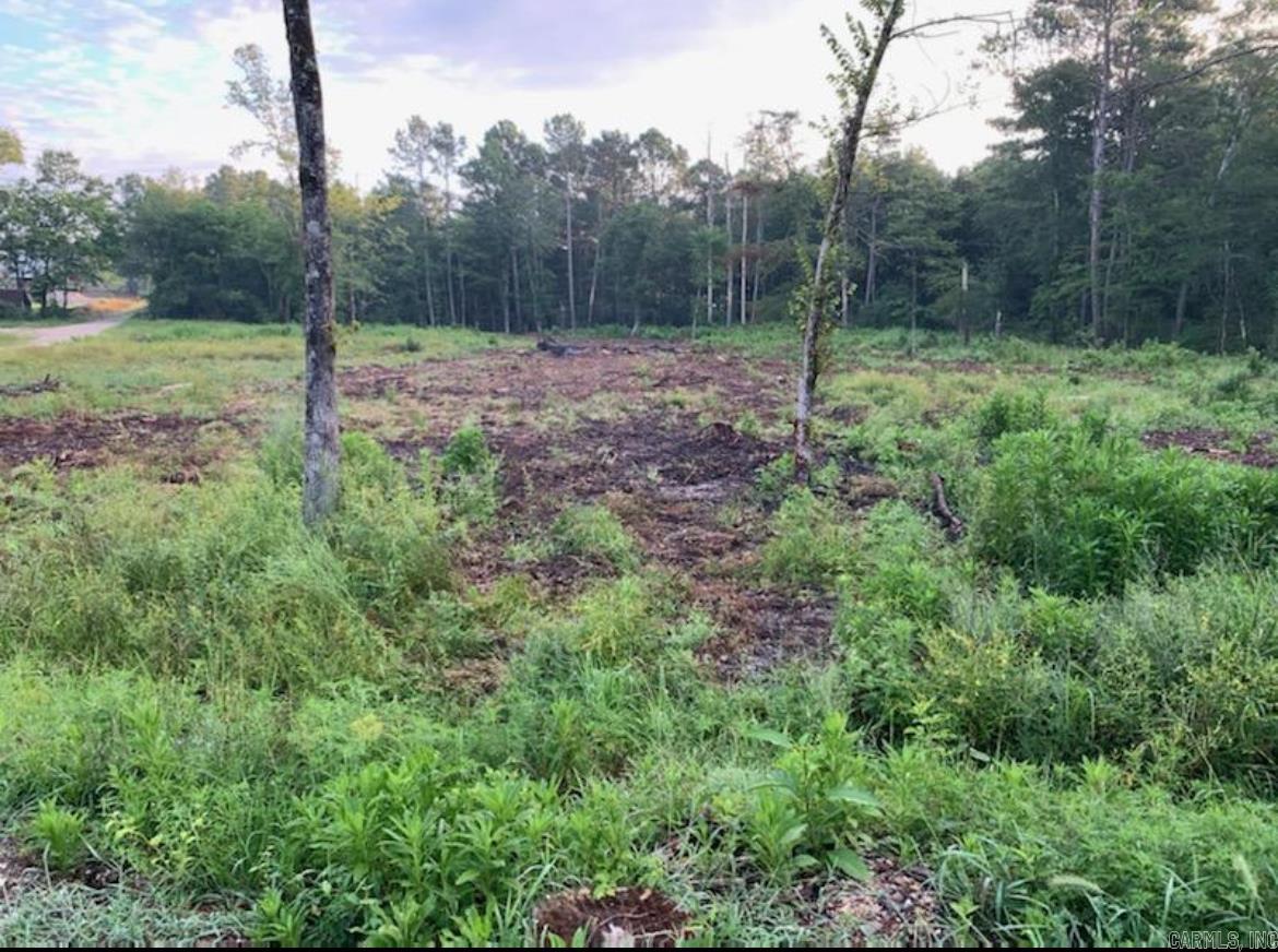 Tract 1 Coop Trail Property Photo 2