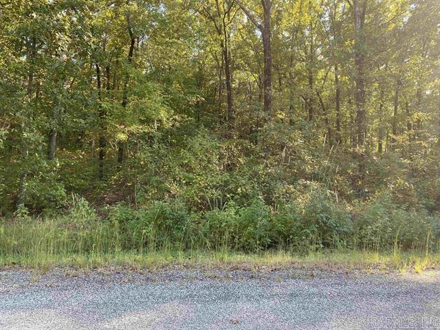 234 Pleasant Oaks Loop Property Photo 1