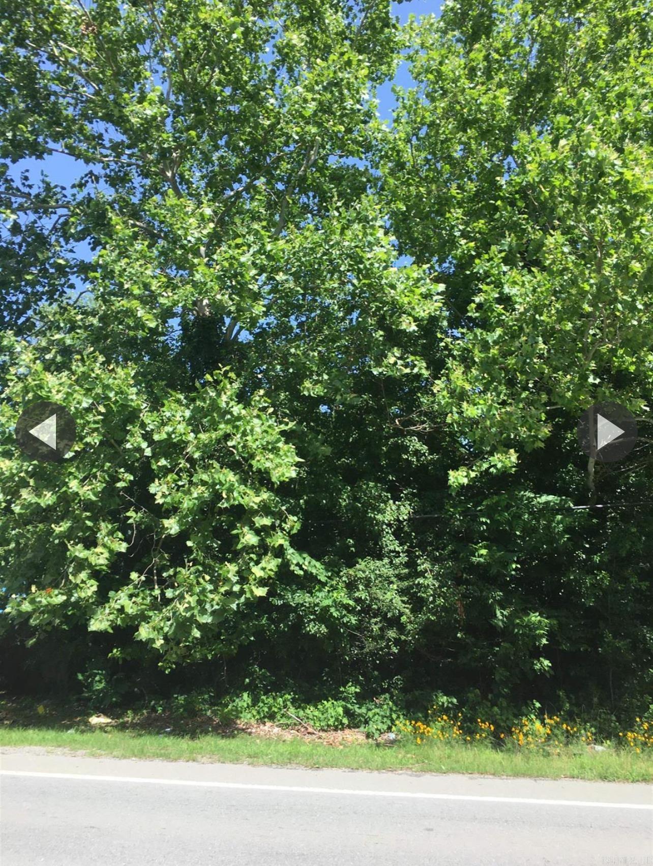 Highway 161 Property Photo 4