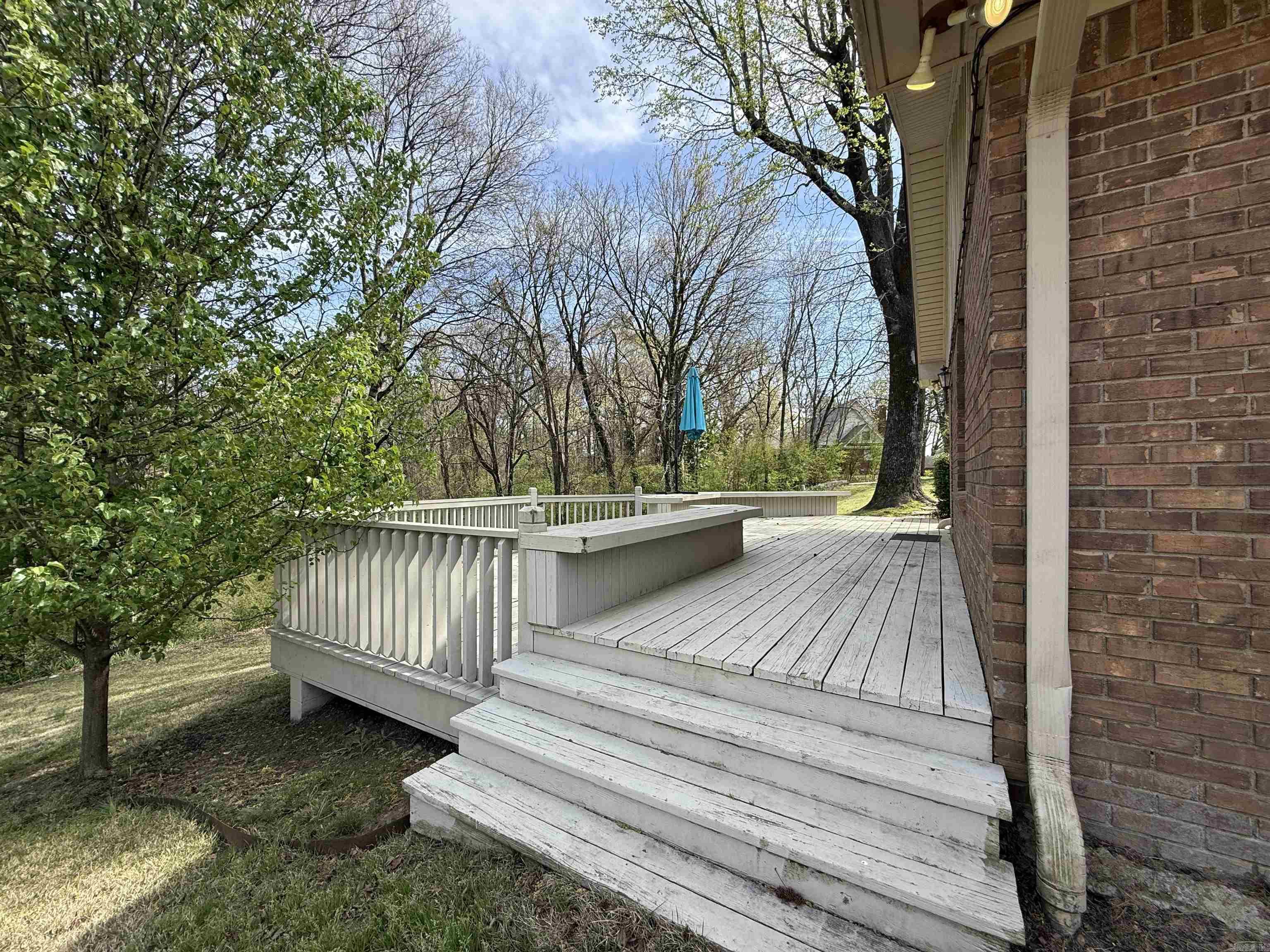4 Carroll Cv Property Photo 20