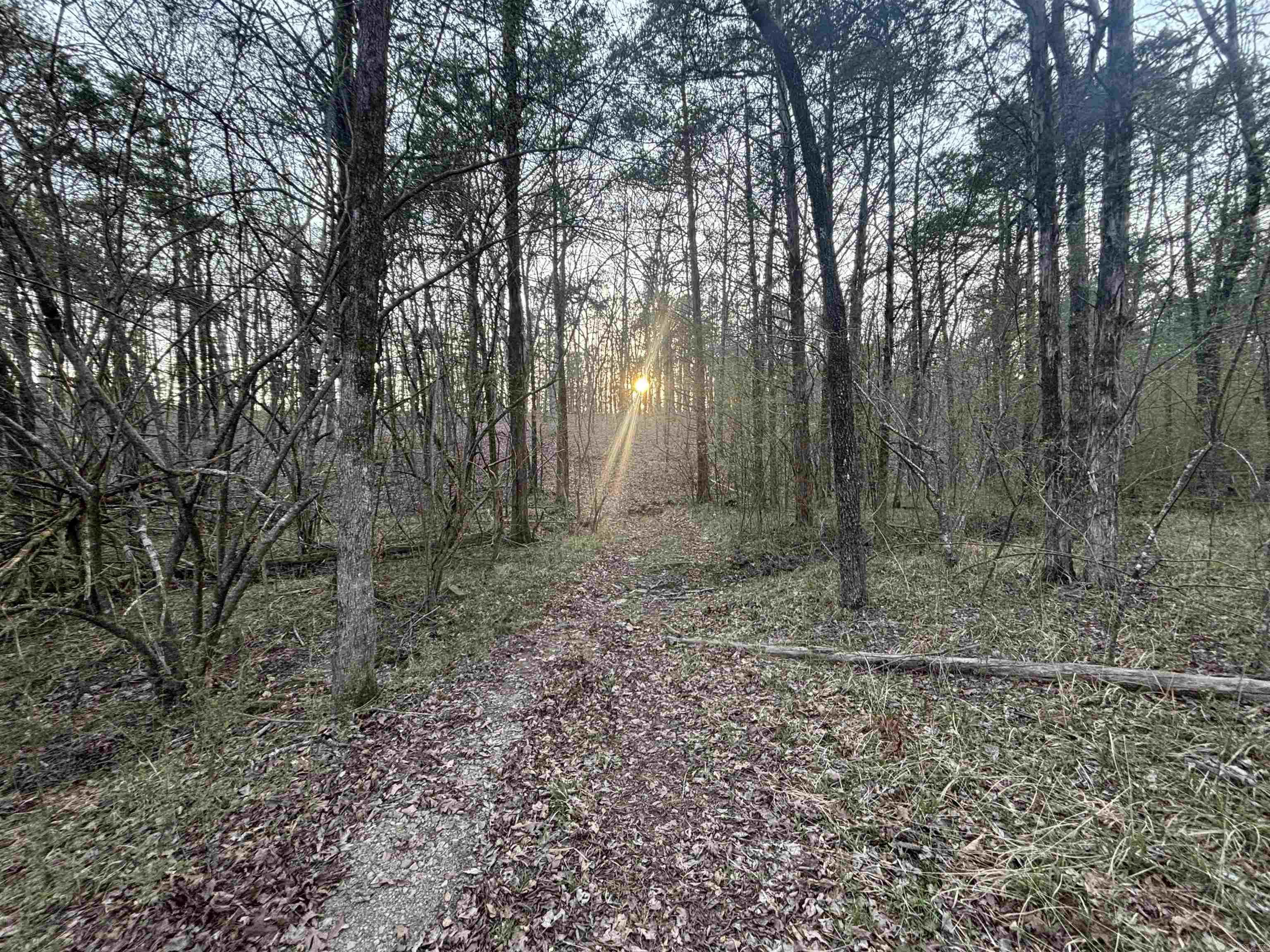 00 Countryside Dr Property Photo 4