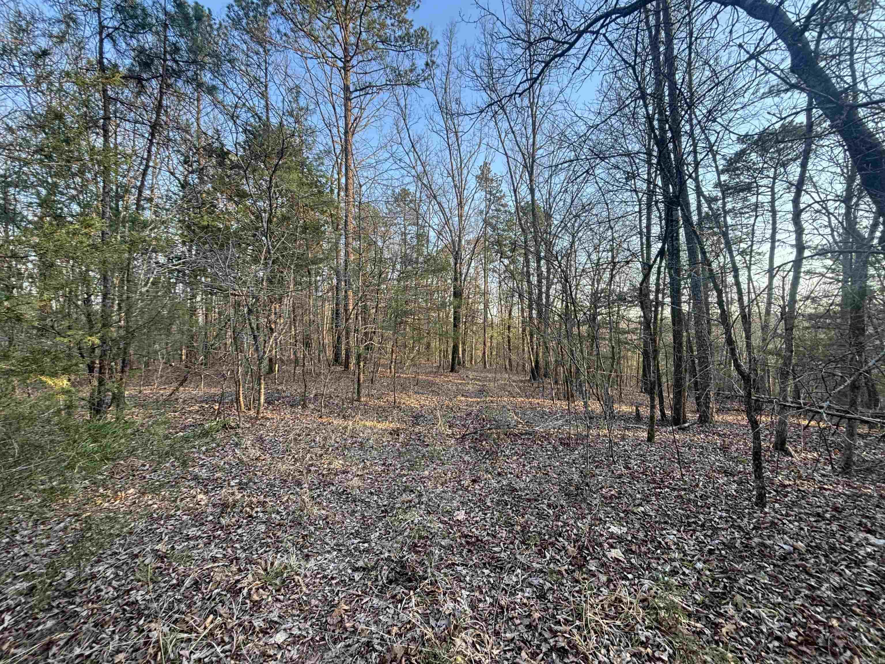 00 Countryside Dr Property Photo 5