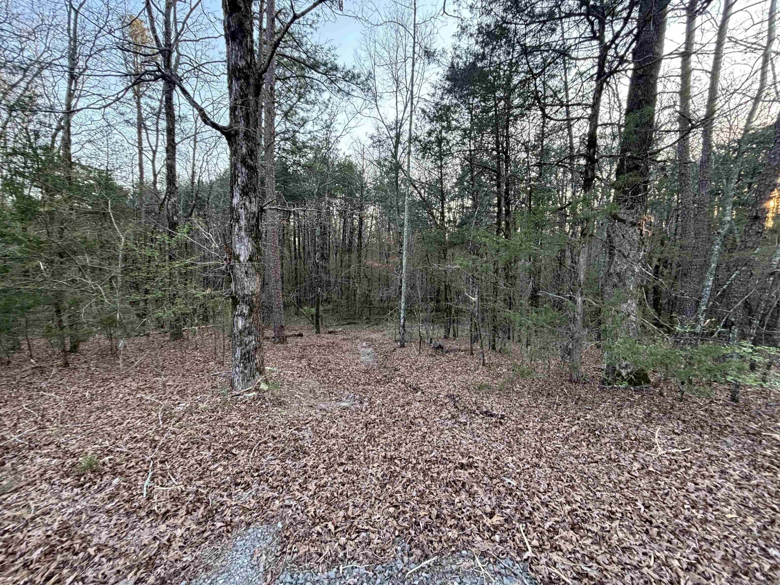 00 Countryside Dr Property Photo 10