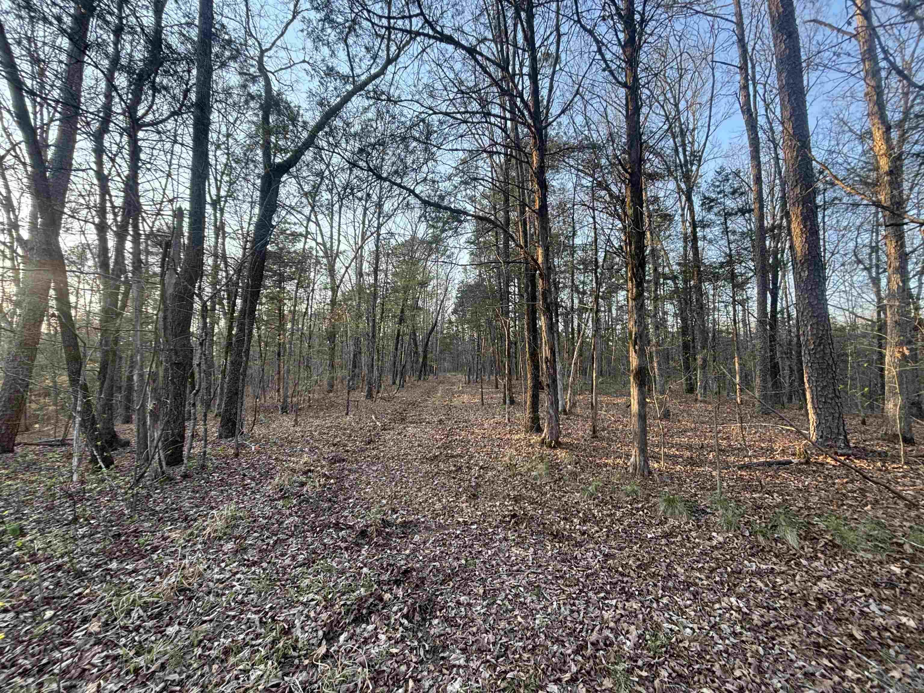 00 Countryside Dr Property Photo 14
