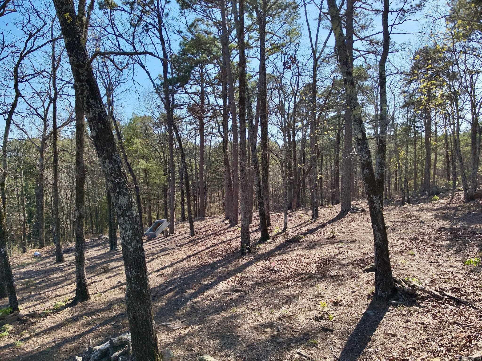 133 Sunrise Circle Property Photo 19