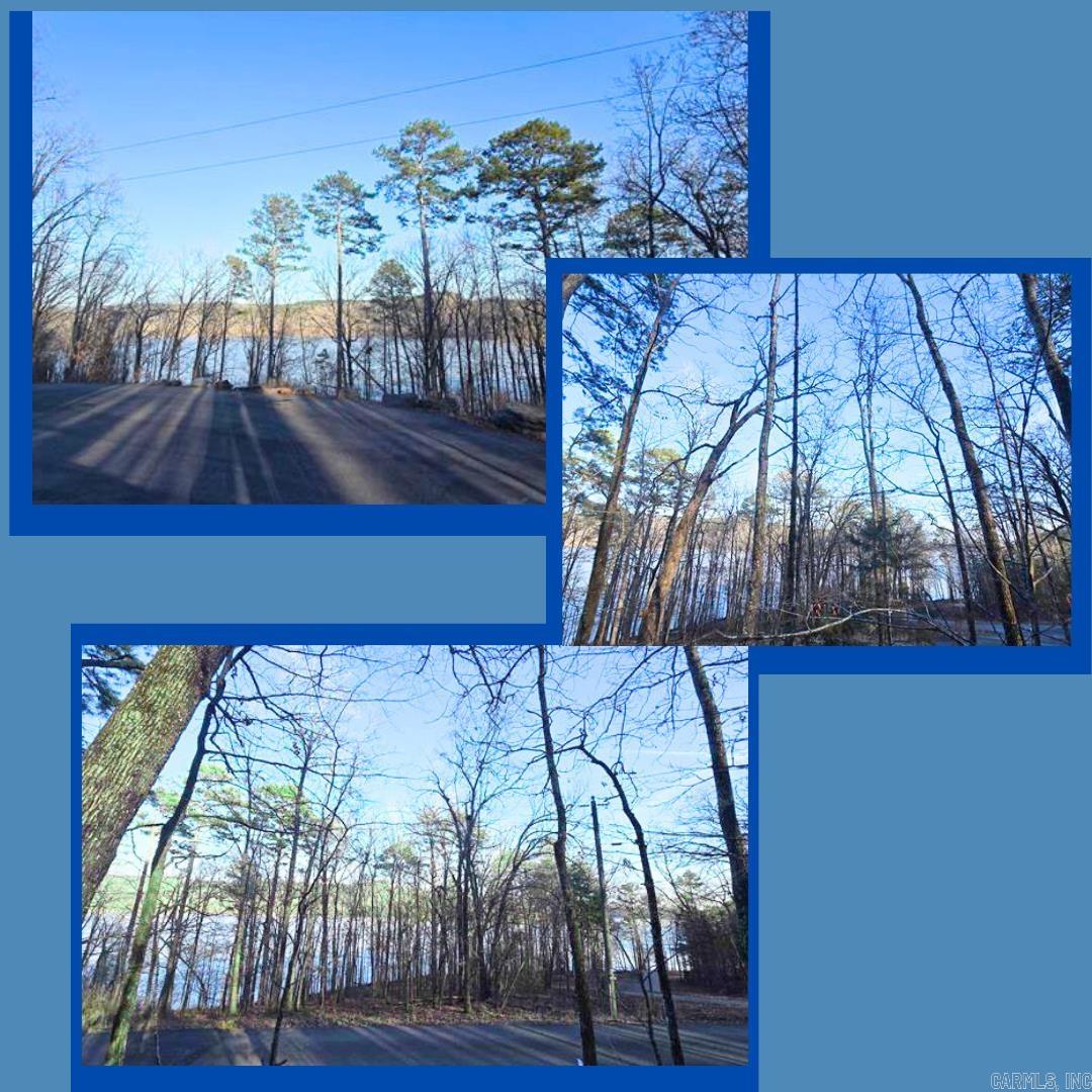 Lot 66 Lower Ridge Circle Property Photo 1