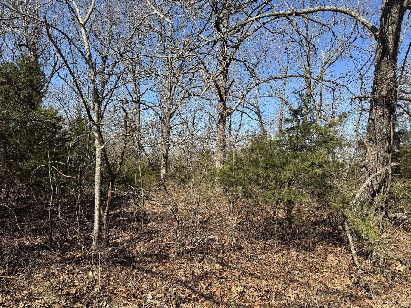 0 Sundown Road Property Photo 3