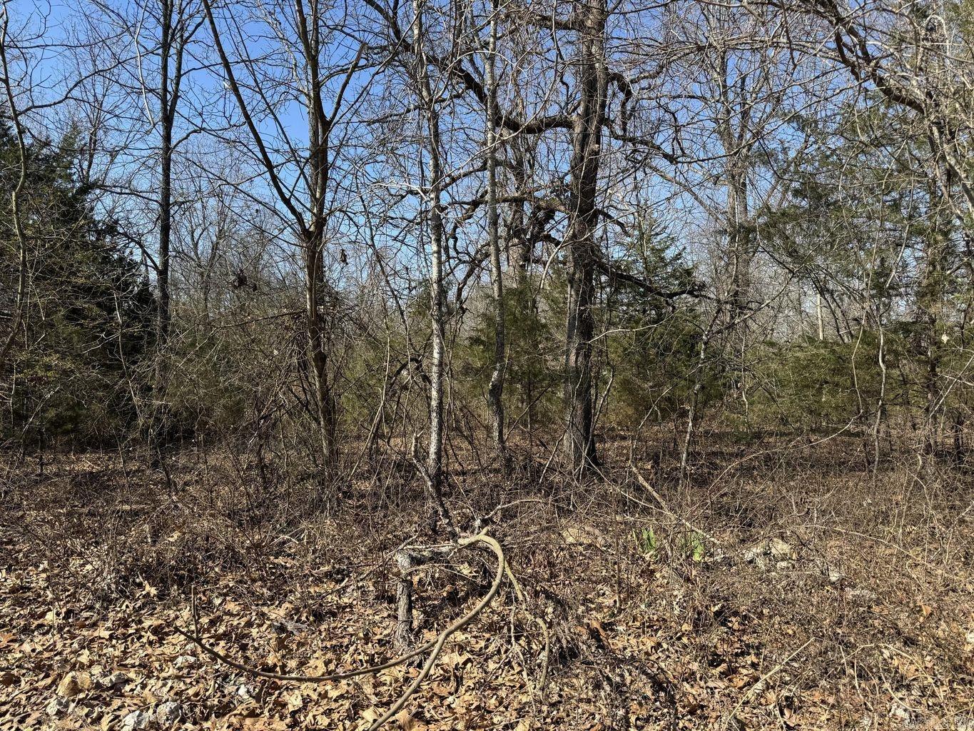 0 Sundown Road Property Photo 4