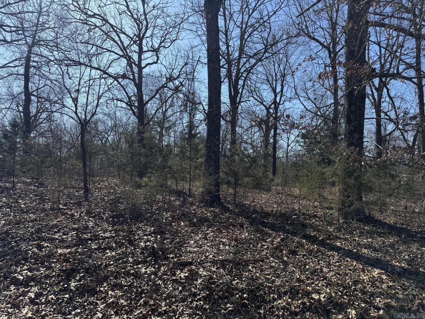 0 Sundown Road Property Photo 5