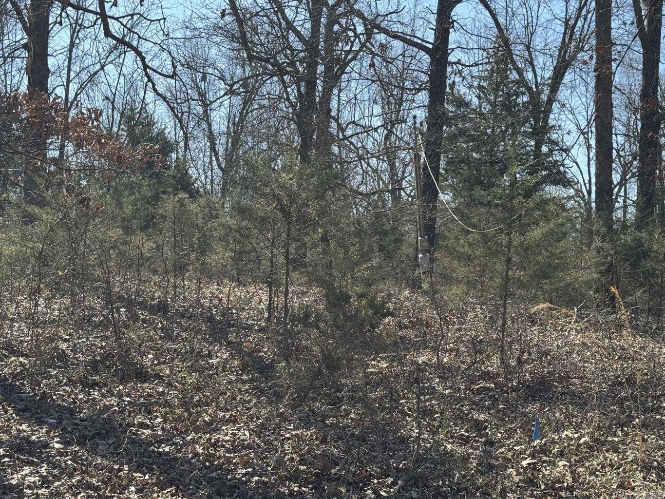 0 Sundown Road Property Photo 6