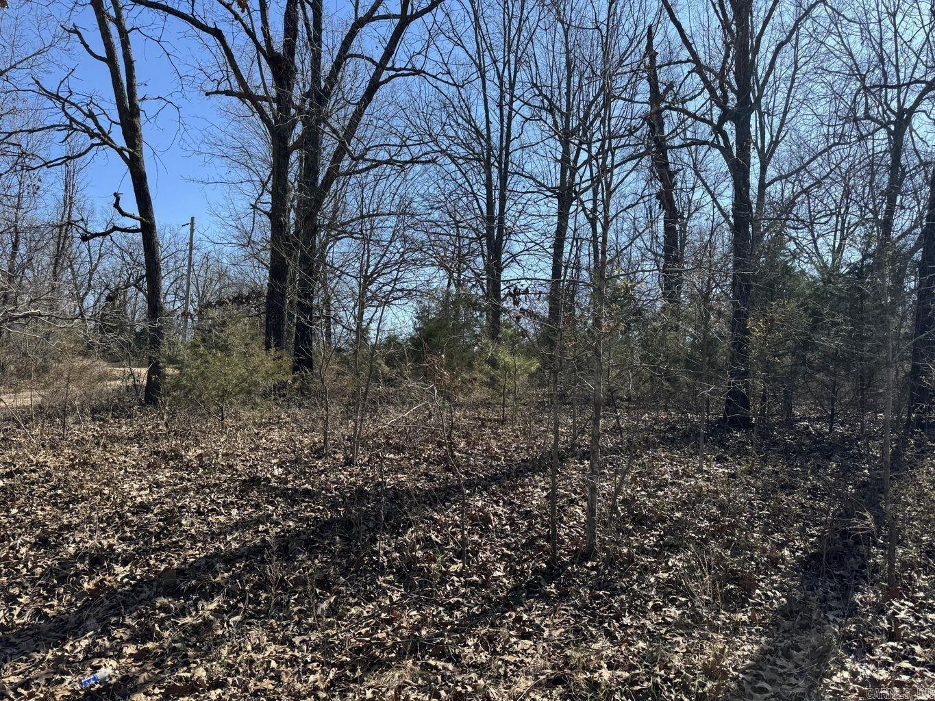 0 Sundown Road Property Photo 7
