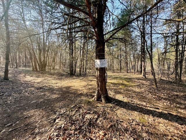 276 Bee Run Road Property Photo 29