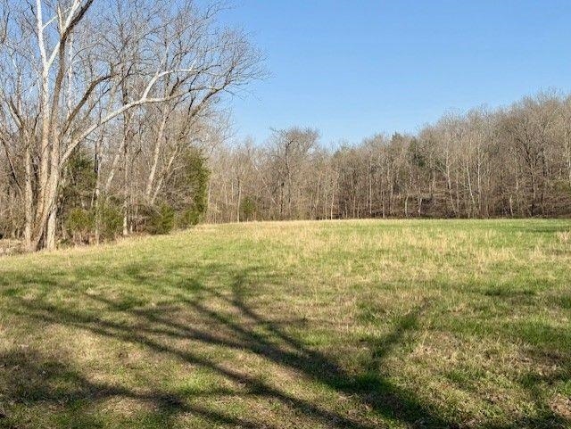 276 Bee Run Road Property Photo 31