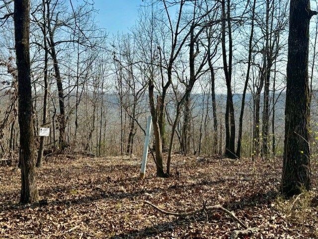 276 Bee Run Road Property Photo 32