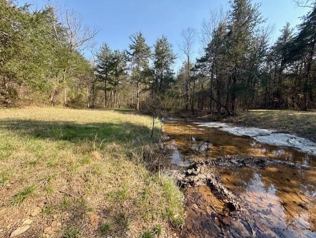 276 Bee Run Road Property Photo 34