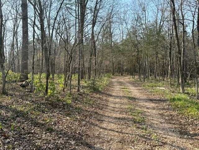 276 Bee Run Road Property Photo 36