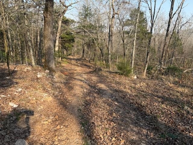 276 Bee Run Road Property Photo 37