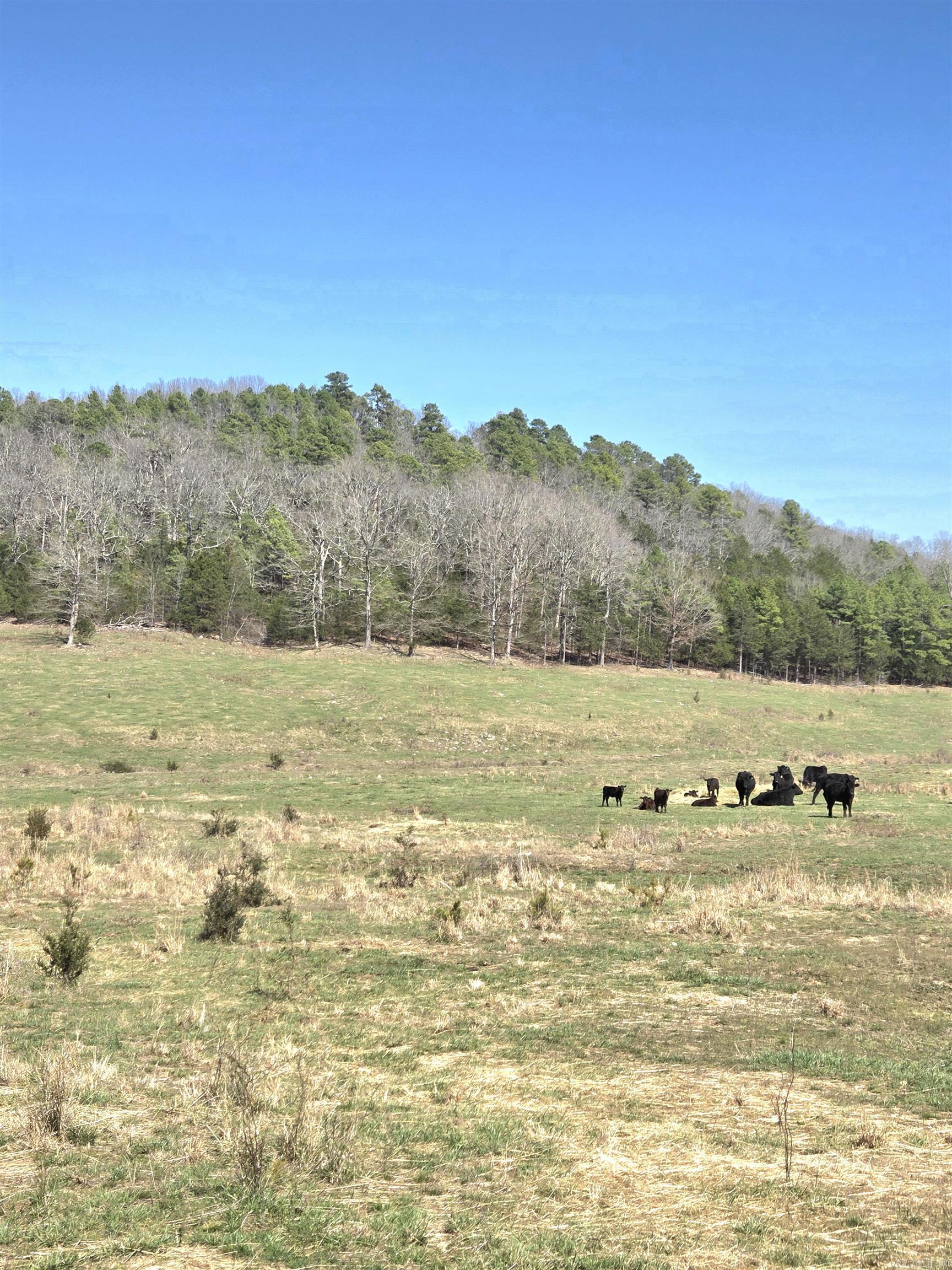 311 Rock Hill Road