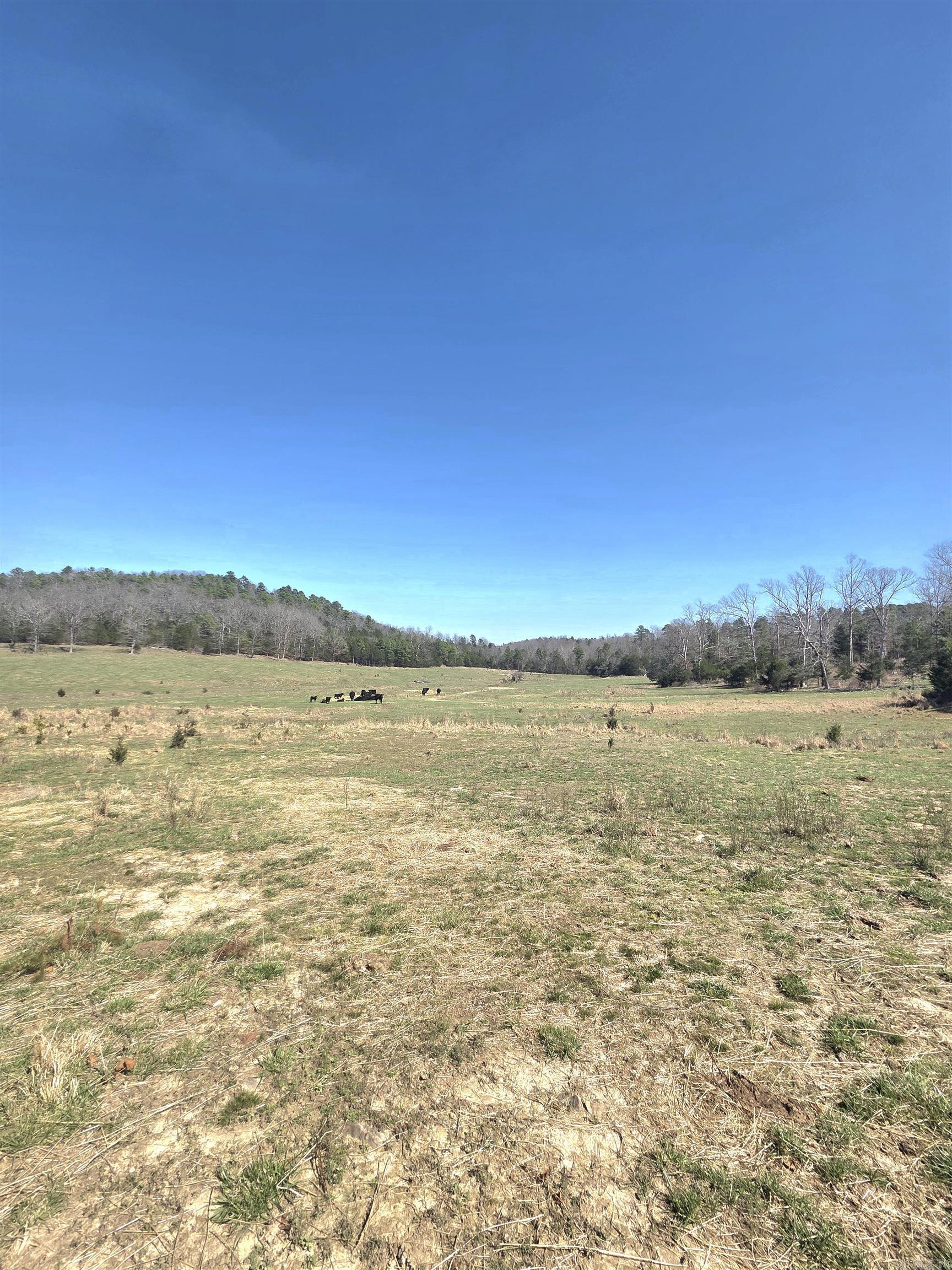 311 Rock Hill Road Property Photo 2