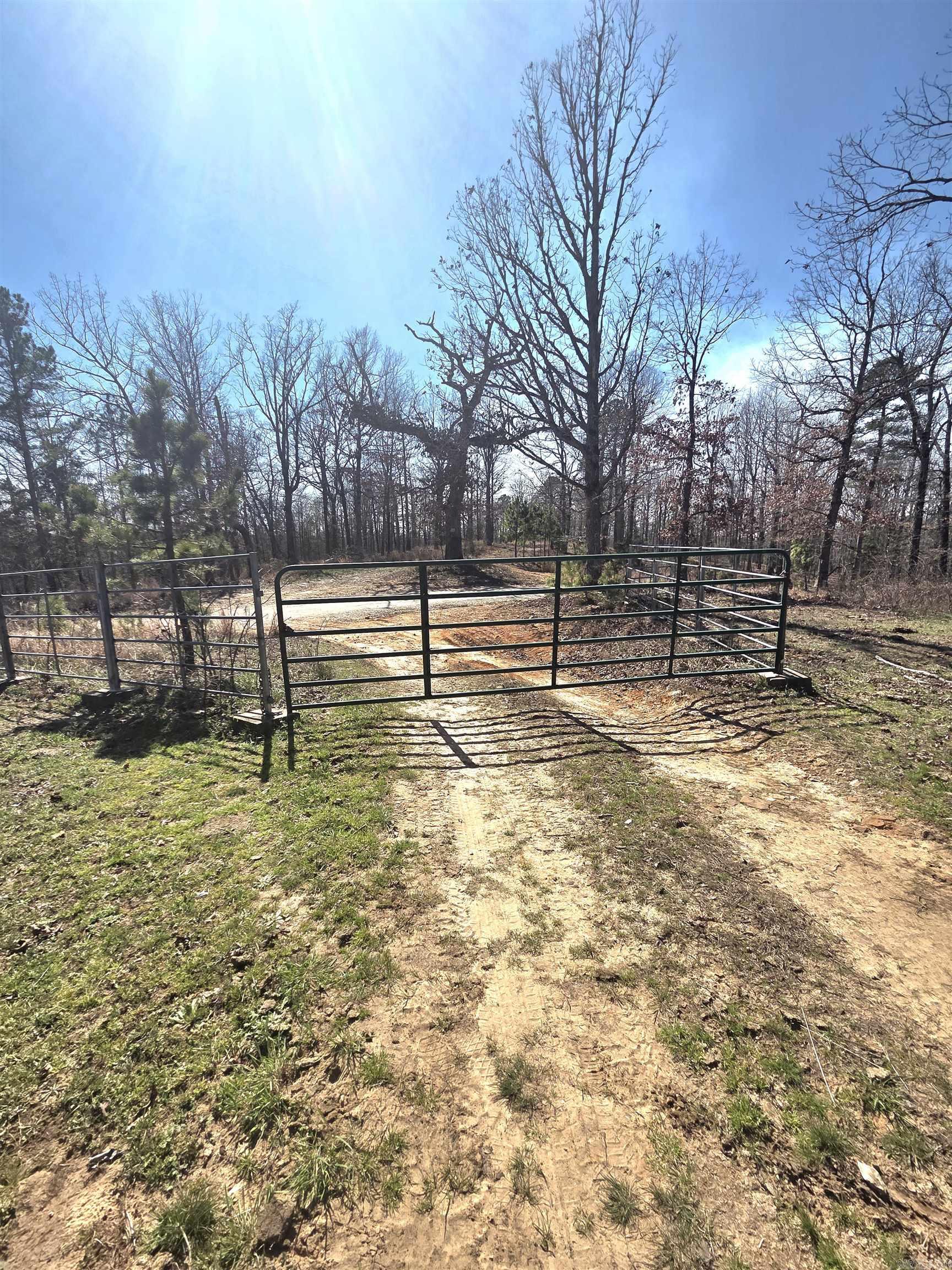 311 Rock Hill Road Property Photo 3