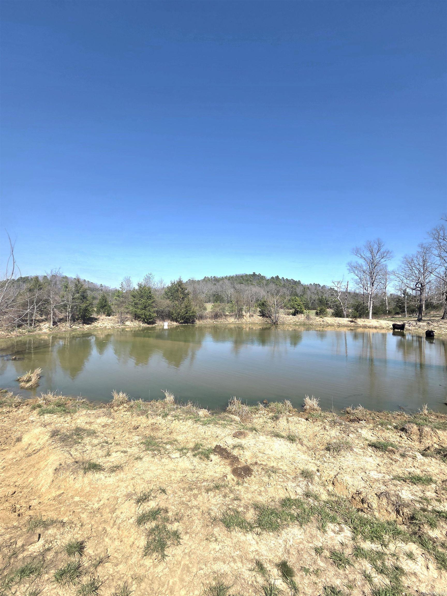 311 Rock Hill Road Property Photo 4