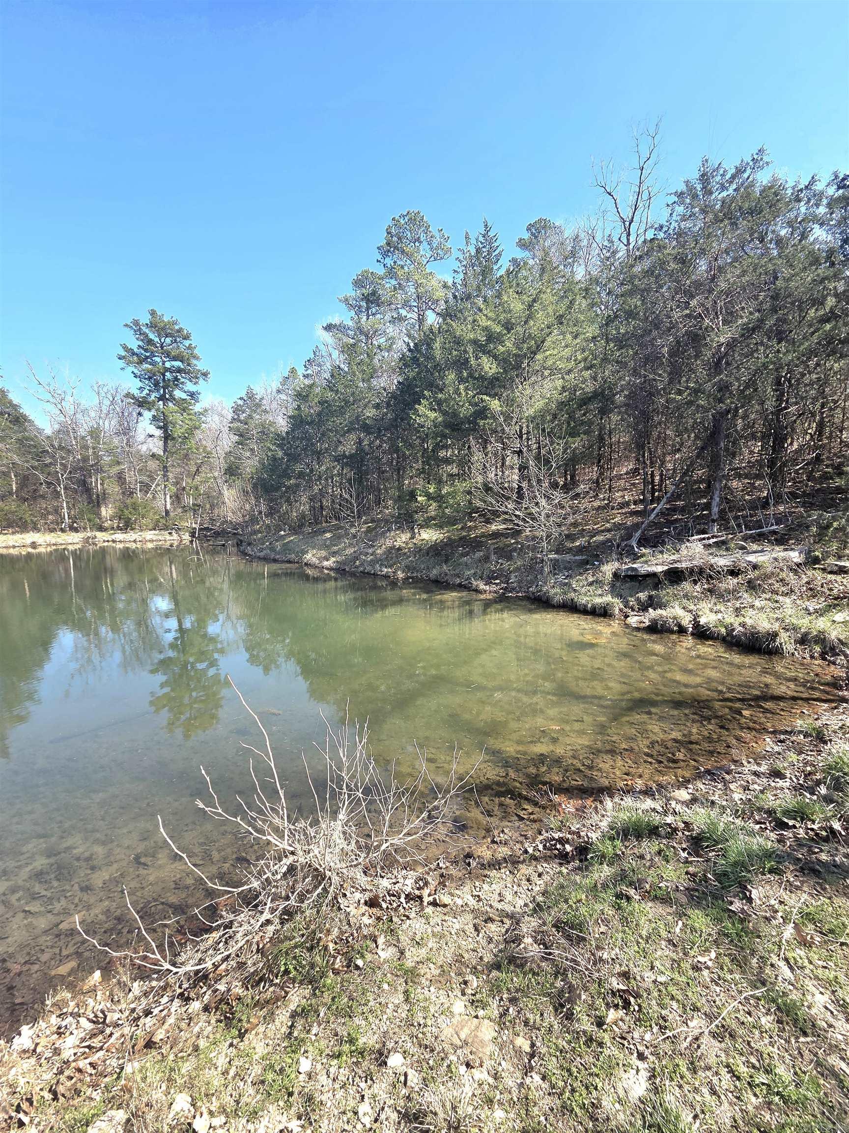 311 Rock Hill Road Property Photo 8