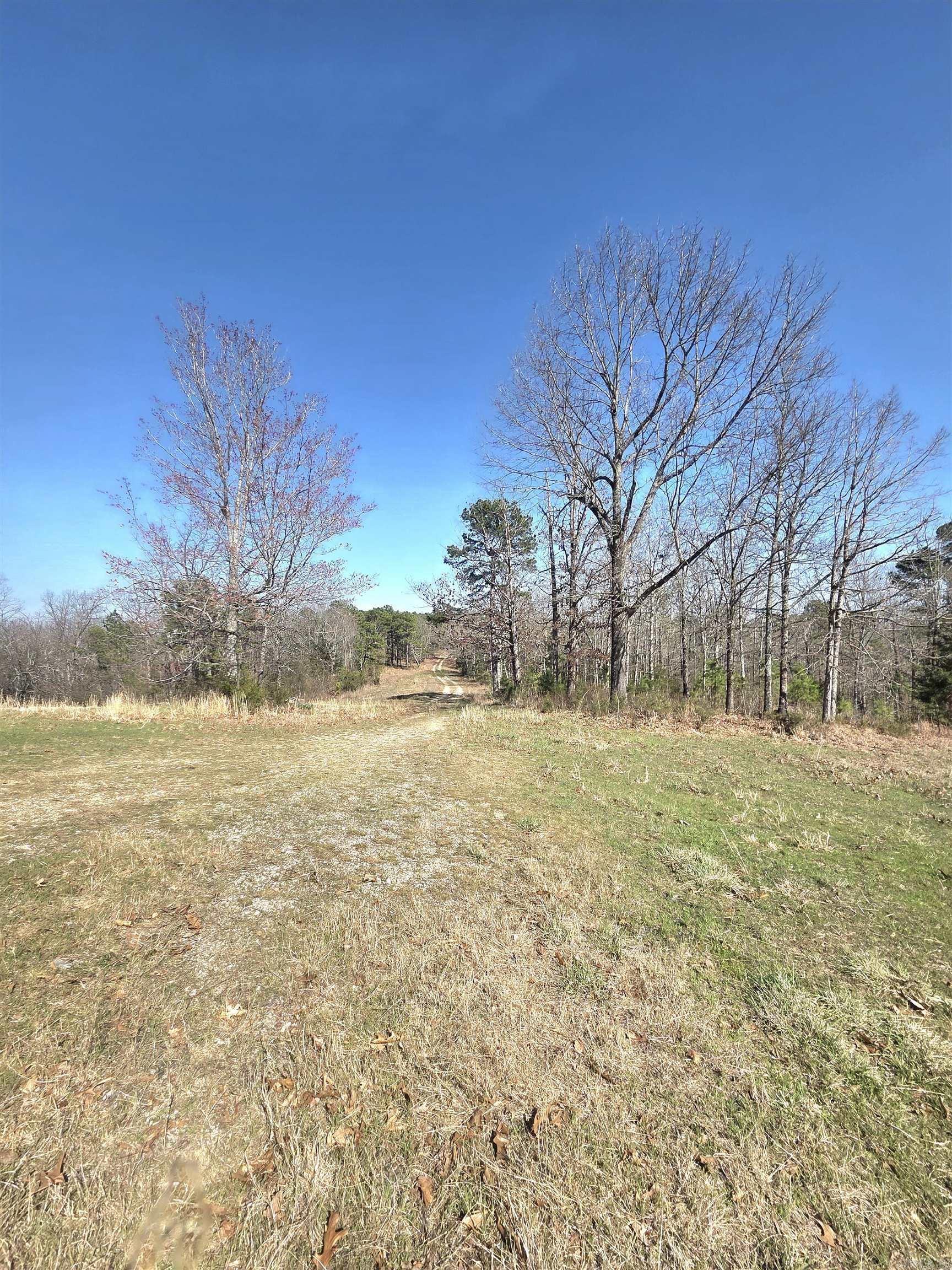 311 Rock Hill Road Property Photo 10