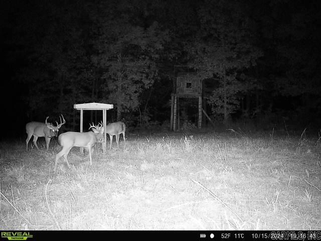 311 Rock Hill Road Property Photo 20