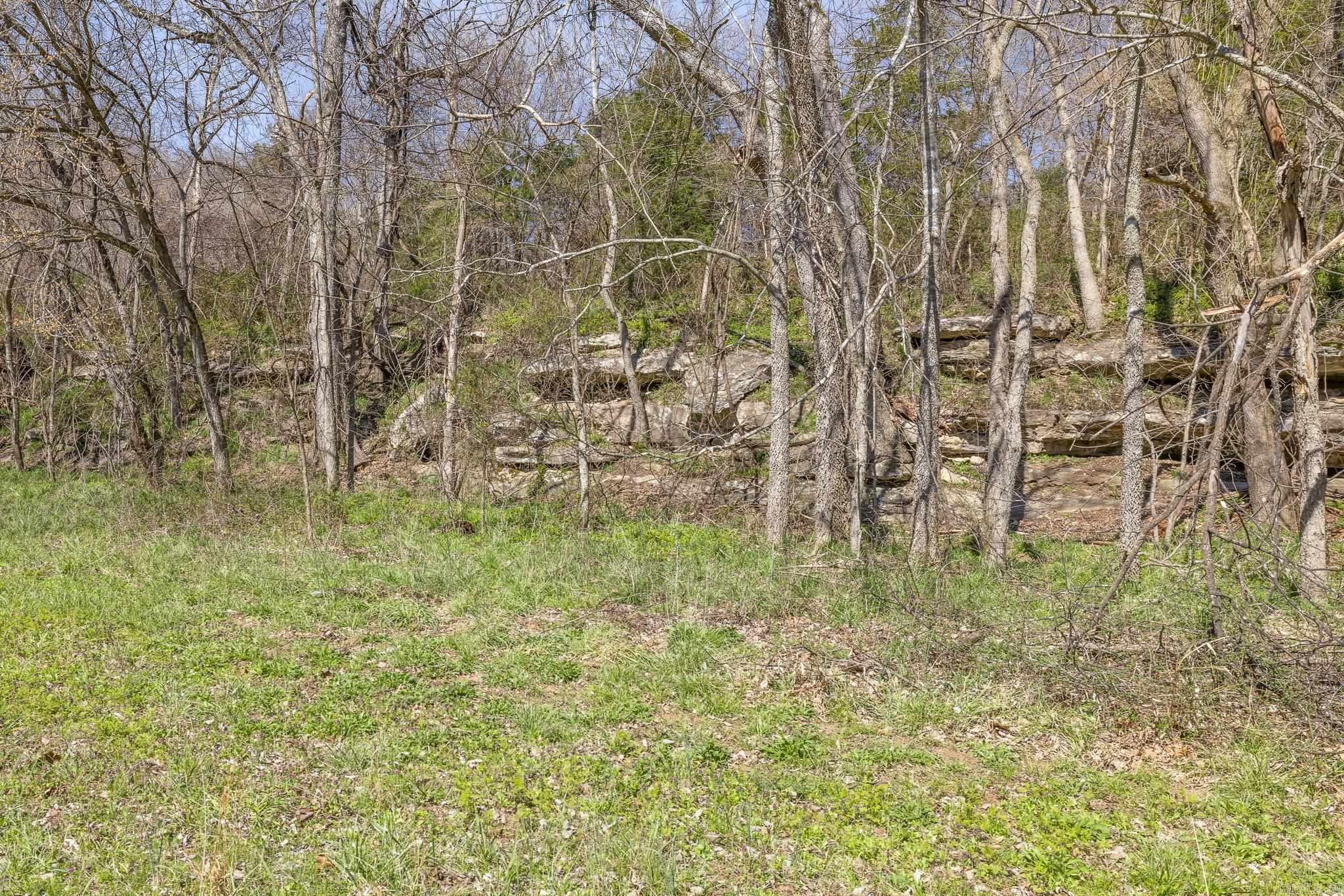 12825 Hwy 412 Property Photo 41