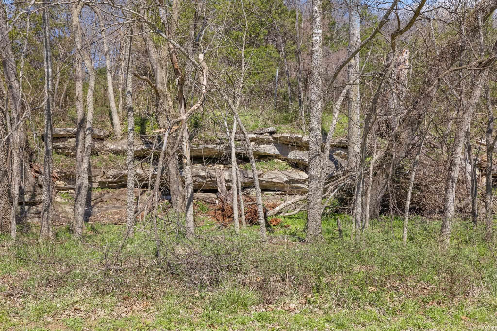 12825 Hwy 412 Property Photo 42
