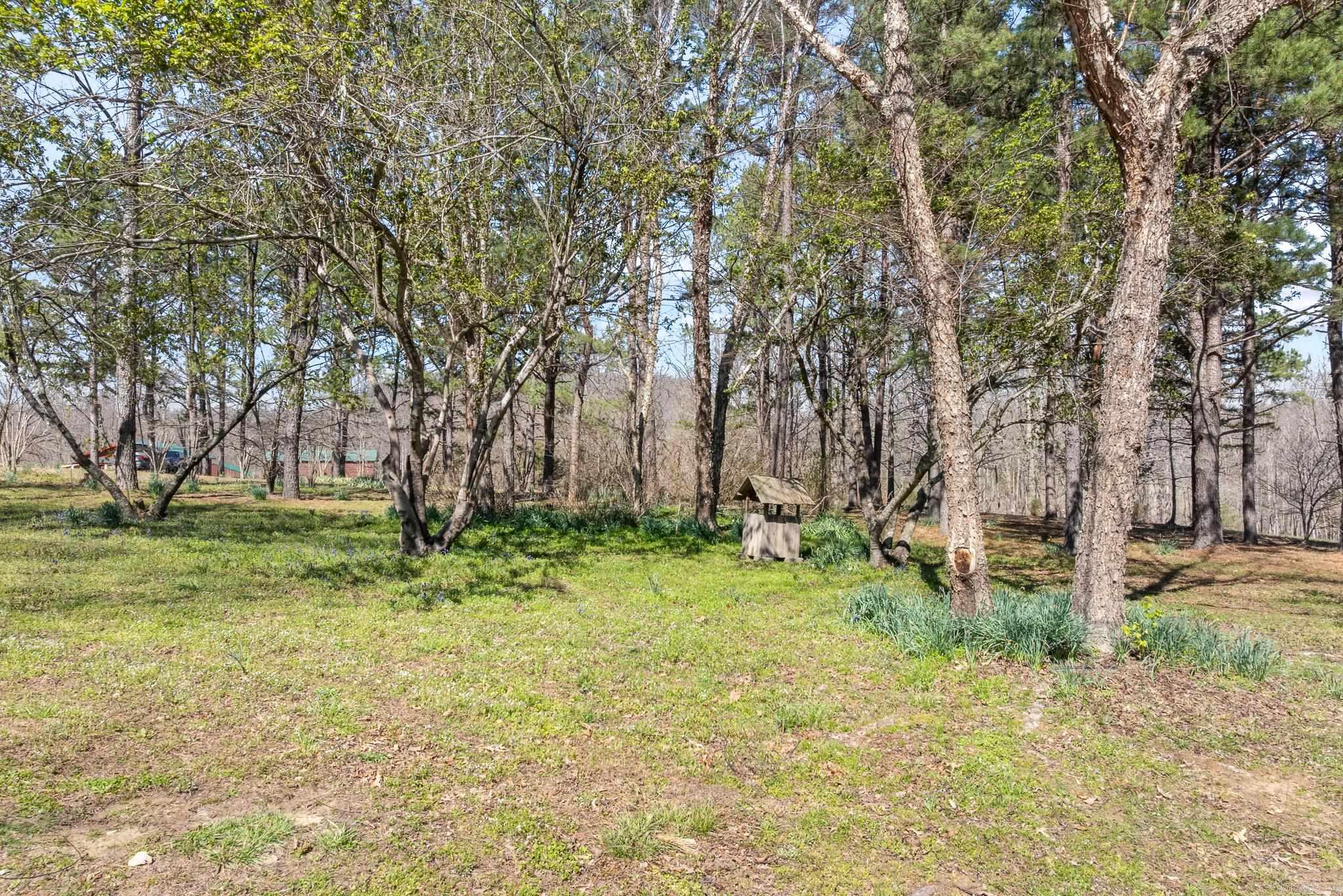 12825 Hwy 412 Property Photo 43