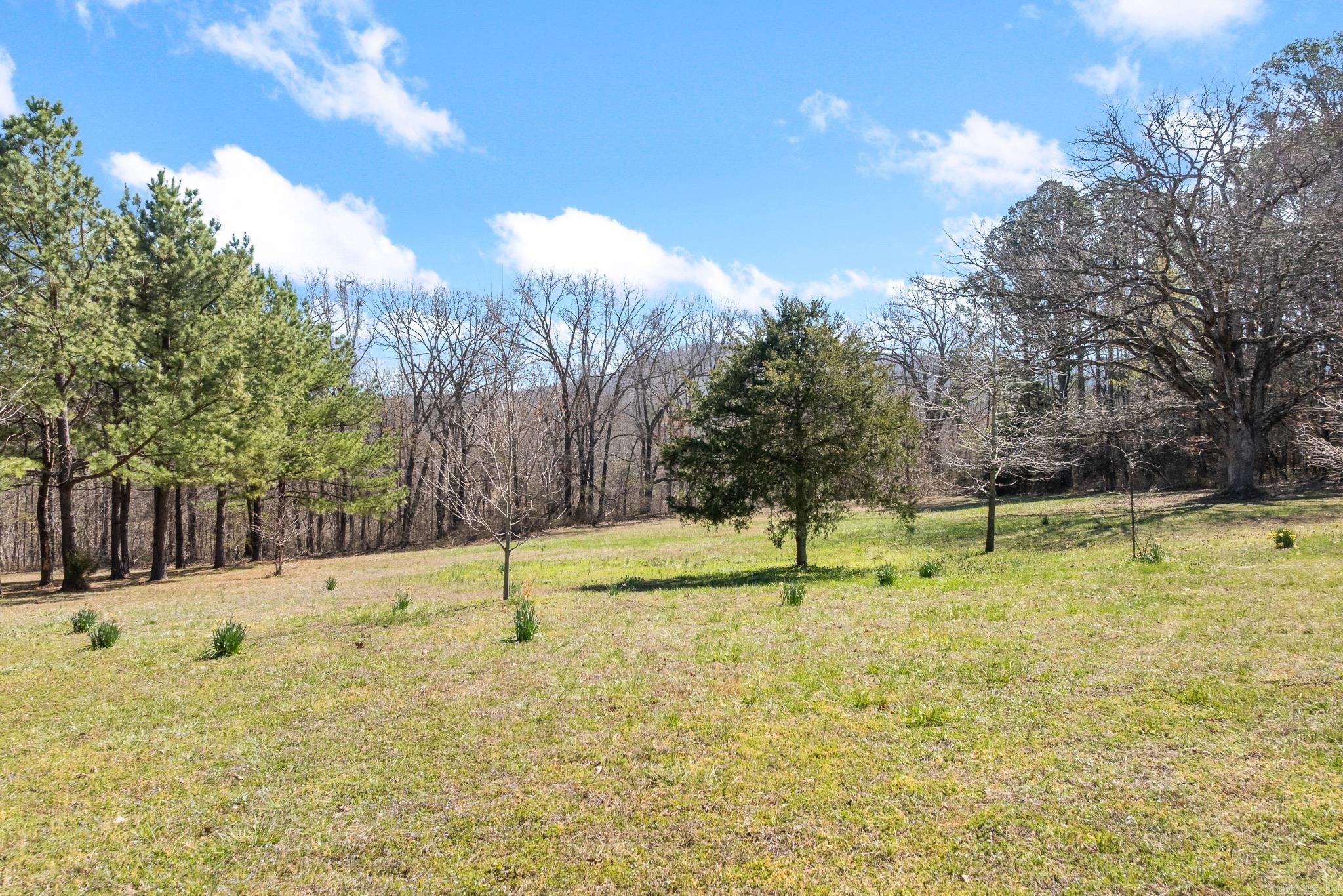 12825 Hwy 412 Property Photo 44