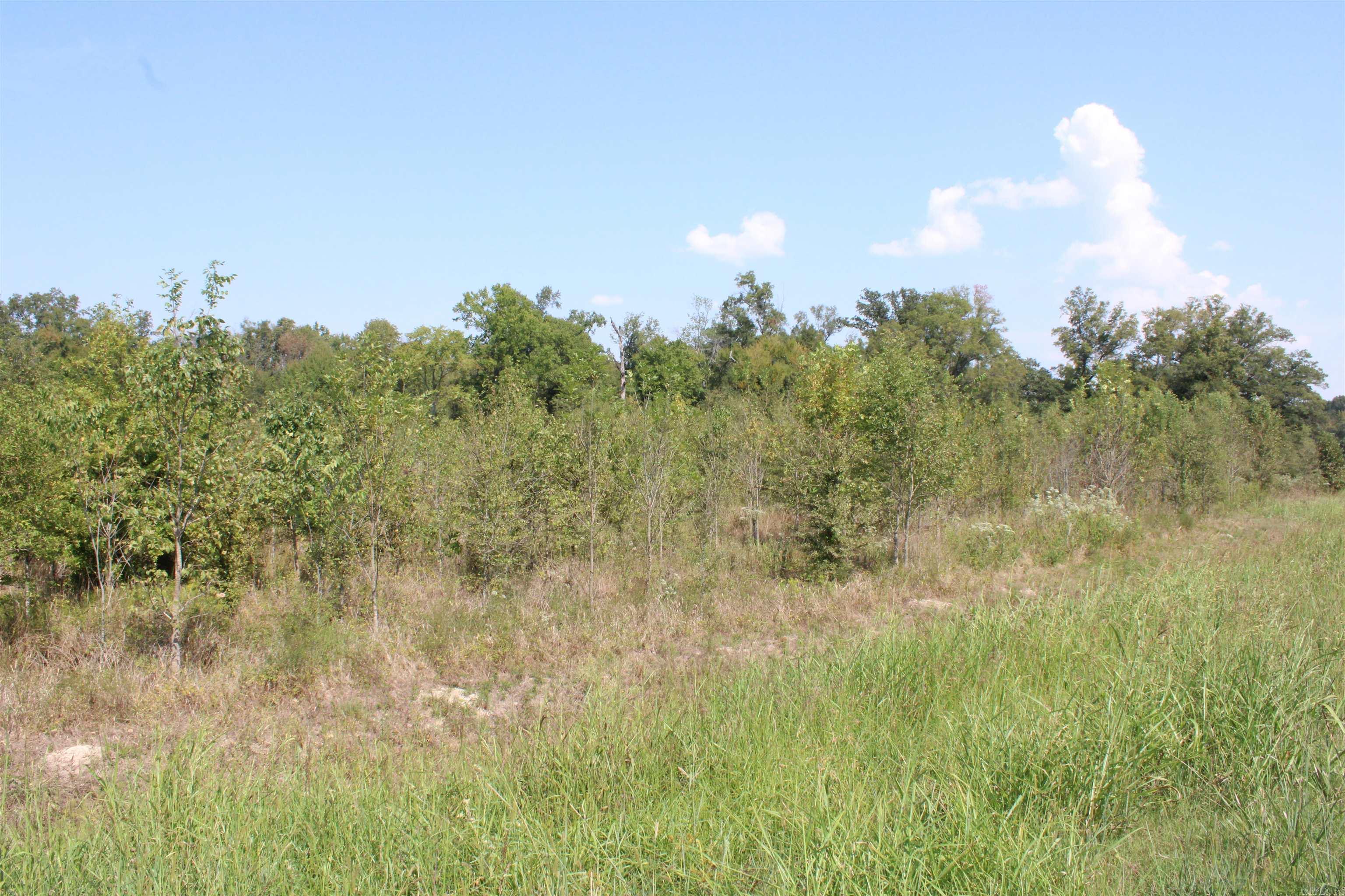 000 Hwy 1 Property Photo 11