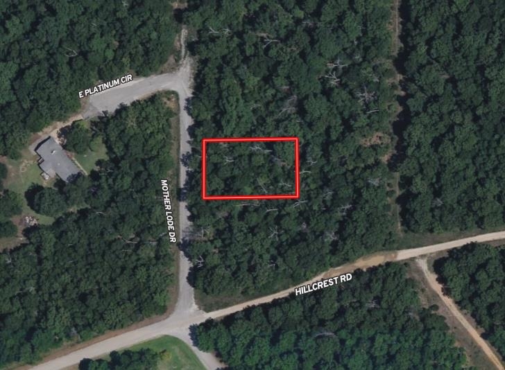 110 S Motherlode Drive Property Photo 1