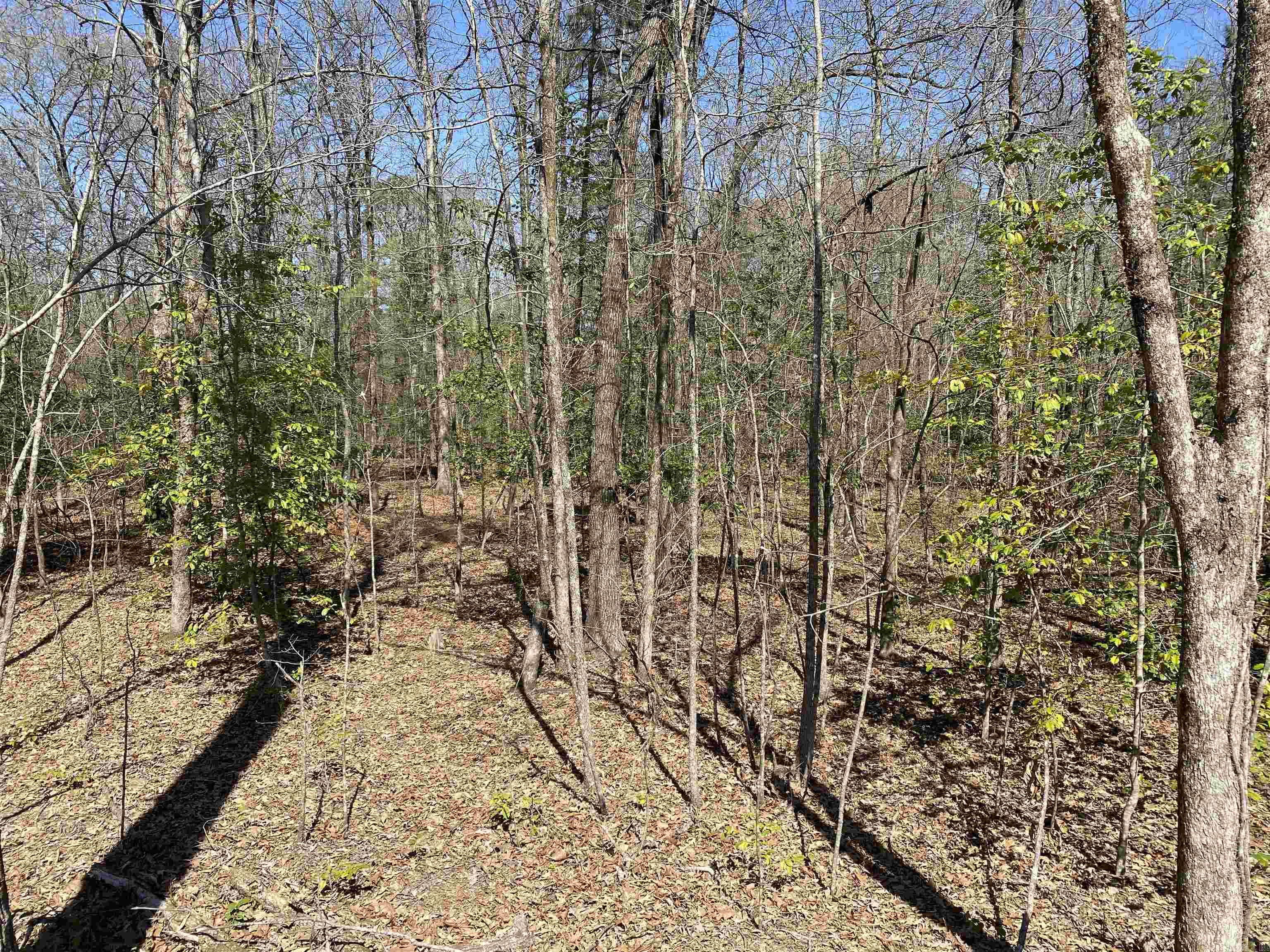 84 Creek Side Property Photo 9