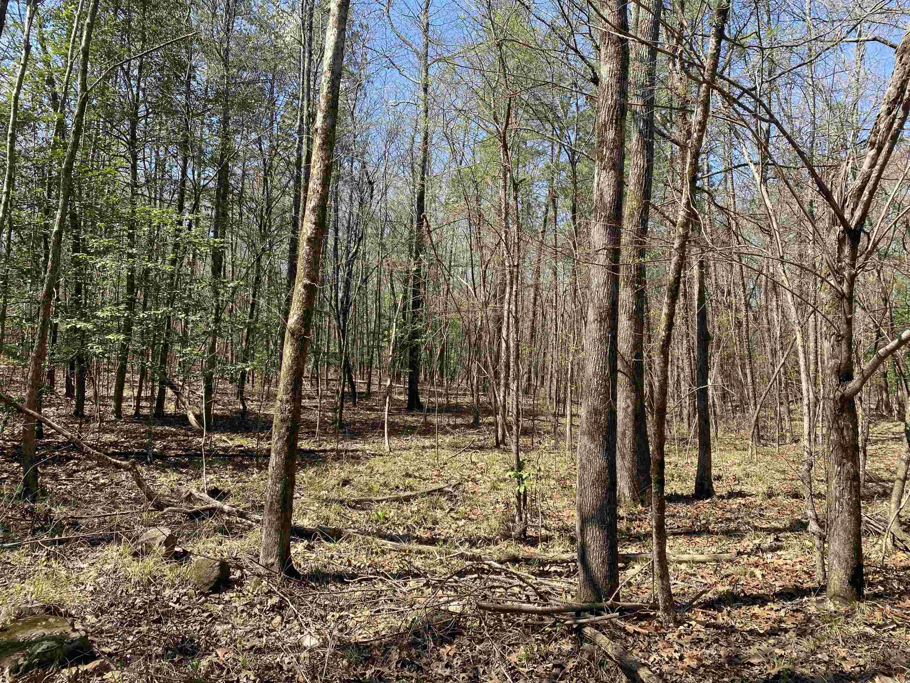 84 Creek Side Property Photo 14
