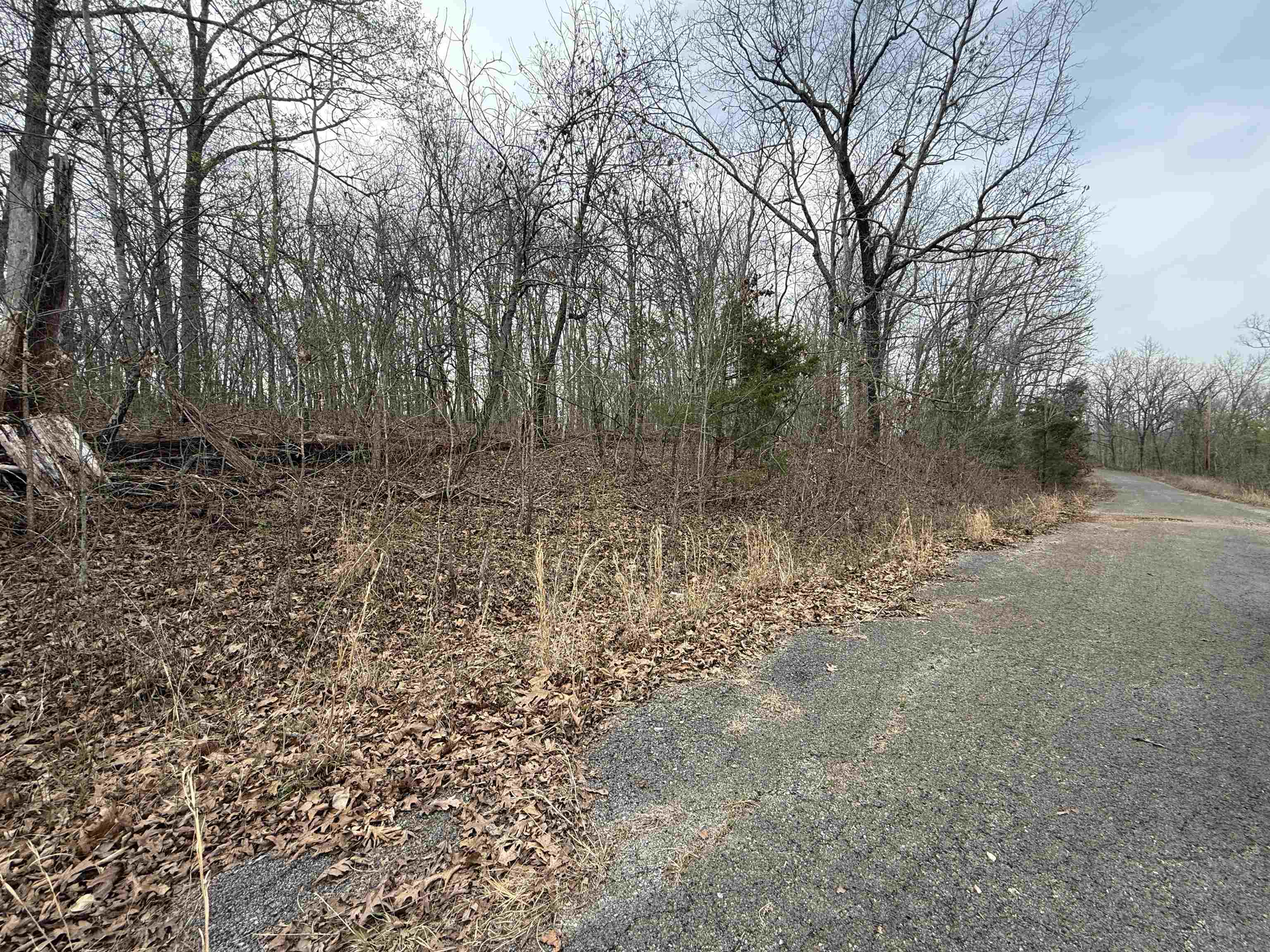Tbd Will Scarlet Property Photo 1