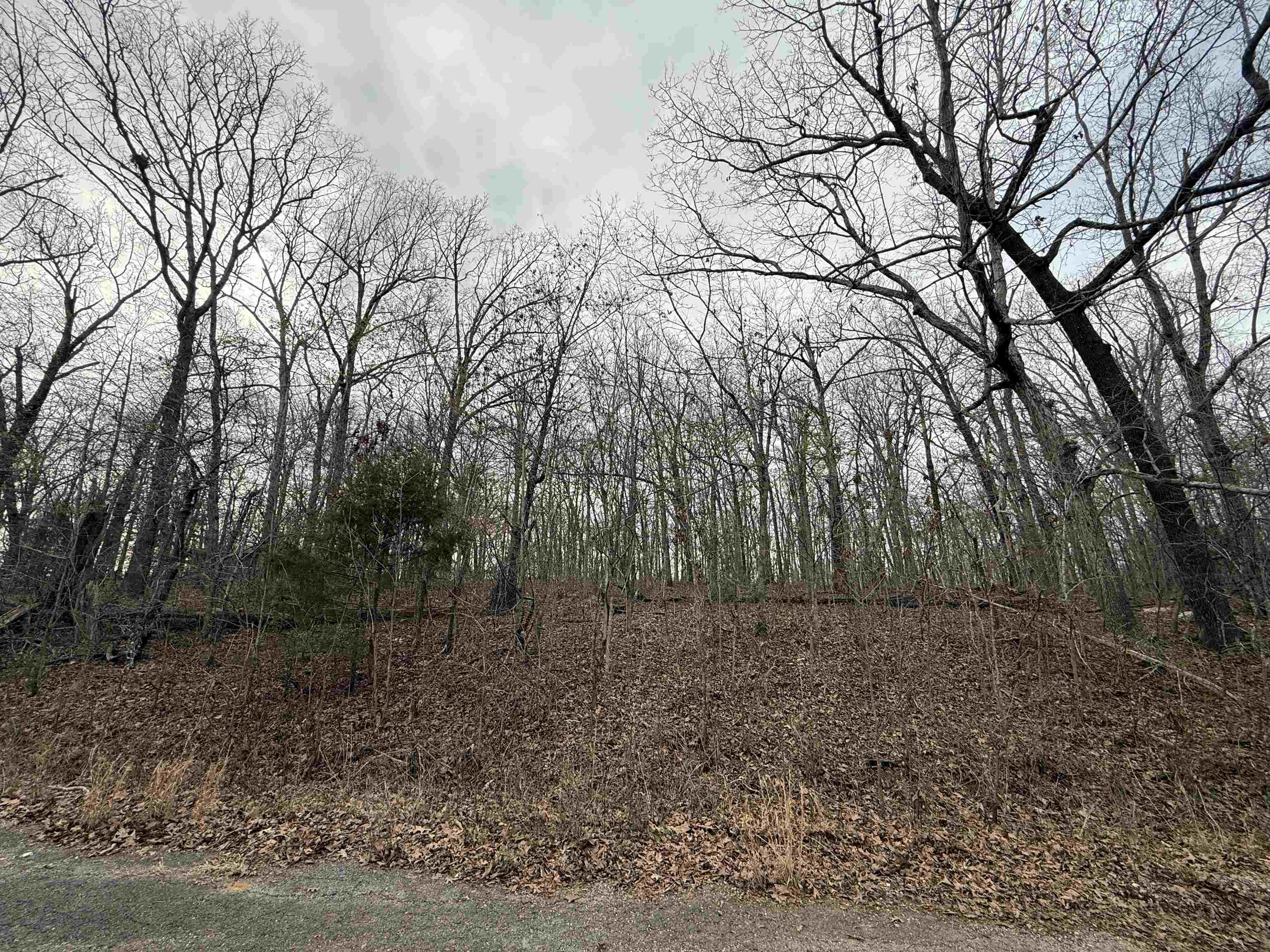 Tbd Will Scarlet Property Photo 3