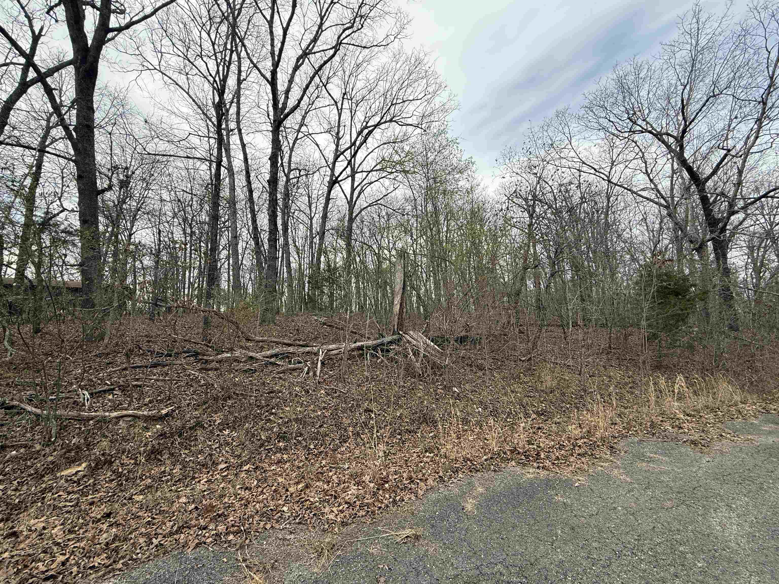 Tbd Will Scarlet Property Photo 4