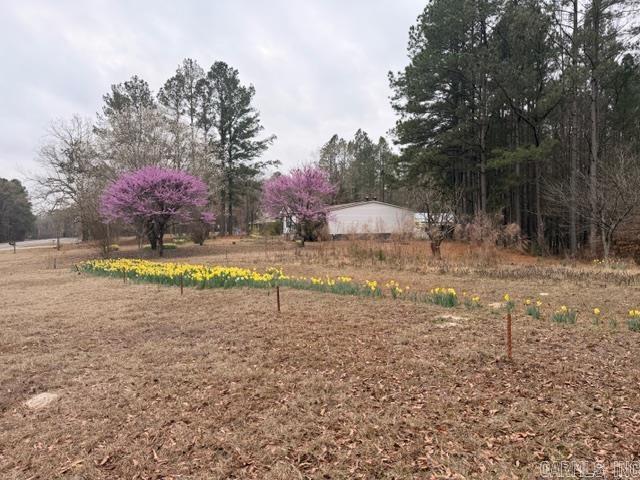 4408 Hwy 376 S Property Photo 3